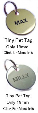 19mm Tiny Chrome or Brass Disc - �5.99