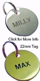 22mm Small Brass or Chrome Disc - �5.99