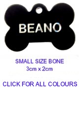 Small Coloured Bone Dog Tag - �5.99