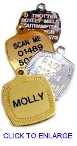Chrome or Brass Square Tag - �5.99