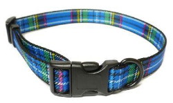 Blue Tartan Dog Collar 
