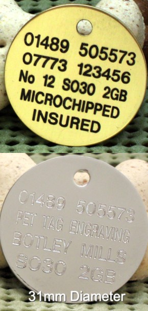 31mm Large Brass or Chrome Disc - �5.99