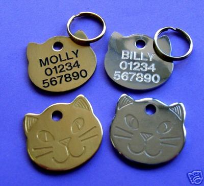 Brass or Chrome Cat FaceTag - �5.99